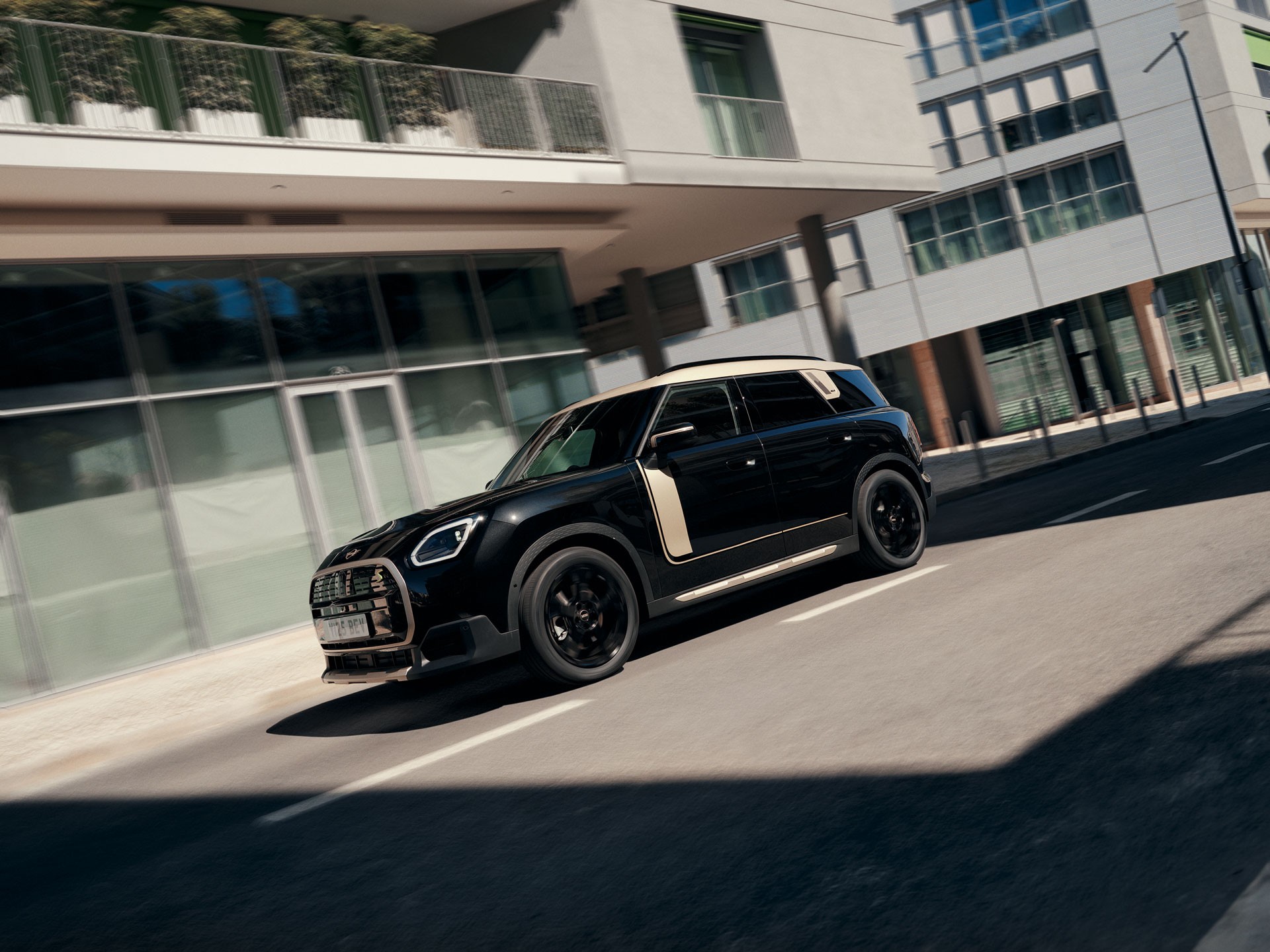 MINIアクセサリー - MINIデカール Favoured